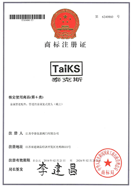 TAIKS商標(biāo)2020.png